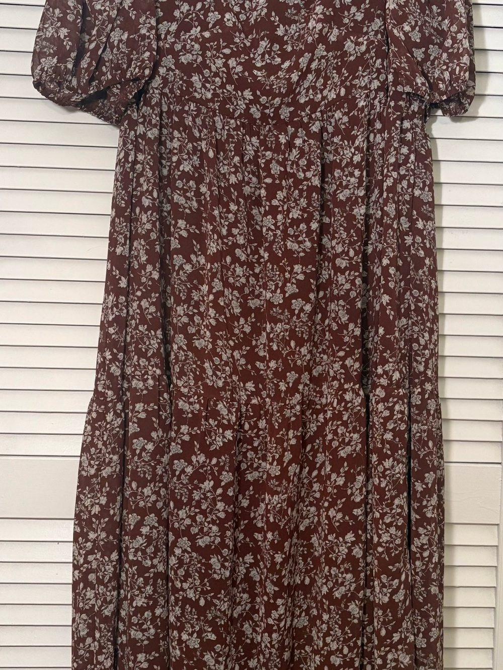 ARULA Brown Floral Maxi Dress with Cream Print
